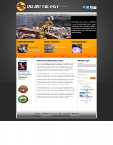 Government Web Design