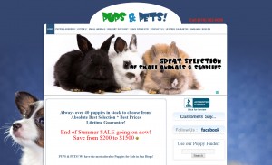 pet store web design